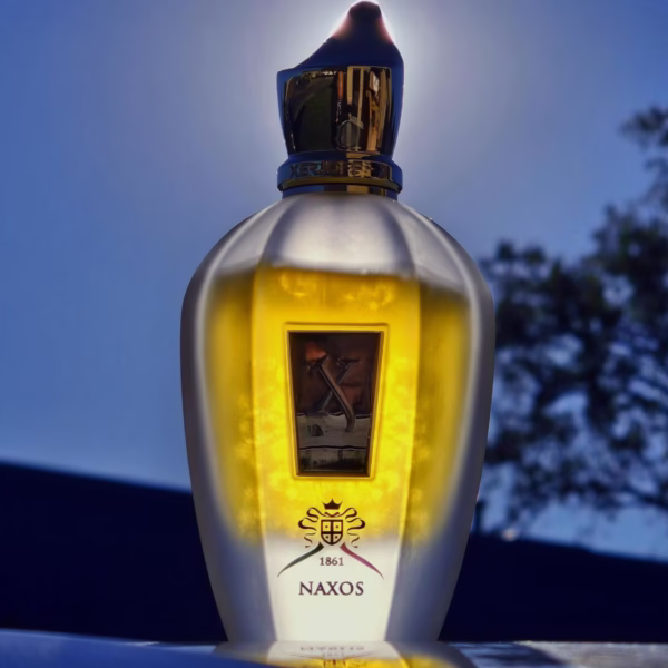 Xerjoff Naxos bottle picture